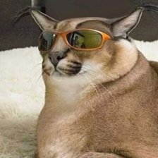 Схема вышивки «шлепа в очках»