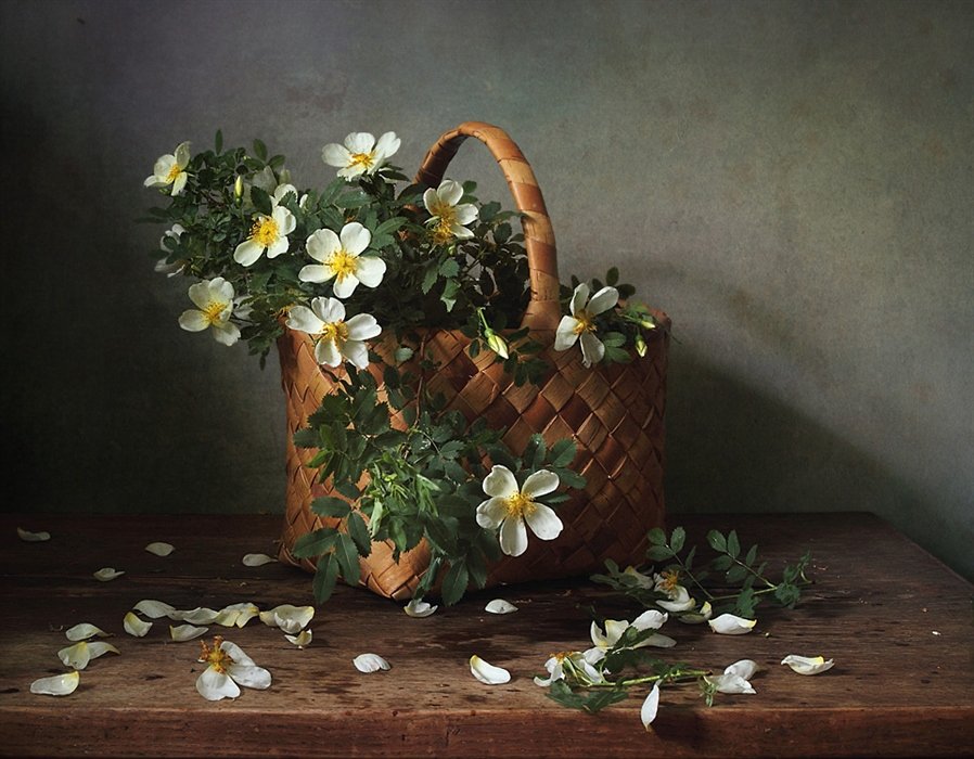 Цветет шиповник - цветы, шиповник, букет, корзина, натюрморт - оригинал