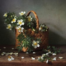 Схема вышивки «Цветет шиповник»