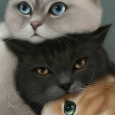 Схема вышивки «Котята»