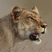 Схема вышивки «№2525035»