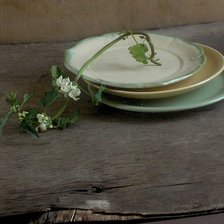 Так цветет крапива