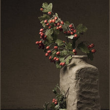 Схема вышивки «Боярышник»