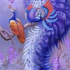 Схема вышивки «Павлины»