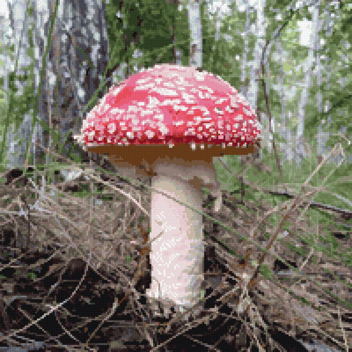 Мухоморчик-красавчик - предпросмотр