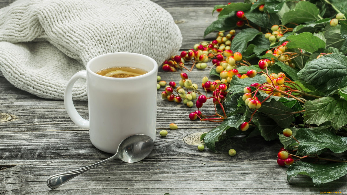 №2525339 - ягода, чай, натюрморт - оригинал