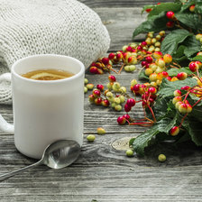 Схема вышивки «№2525339»