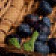 Предпросмотр схемы вышивки «№2525340»