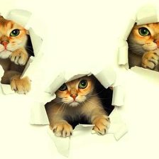 Схема вышивки «№2525379»