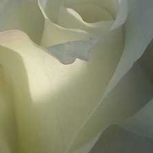 Схема вышивки «№2525400»