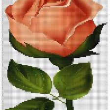 Схема вышивки «№2525412»