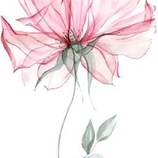 Схема вышивки «Цветок акварель»