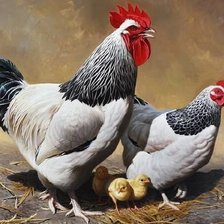 Схема вышивки «№2525502»