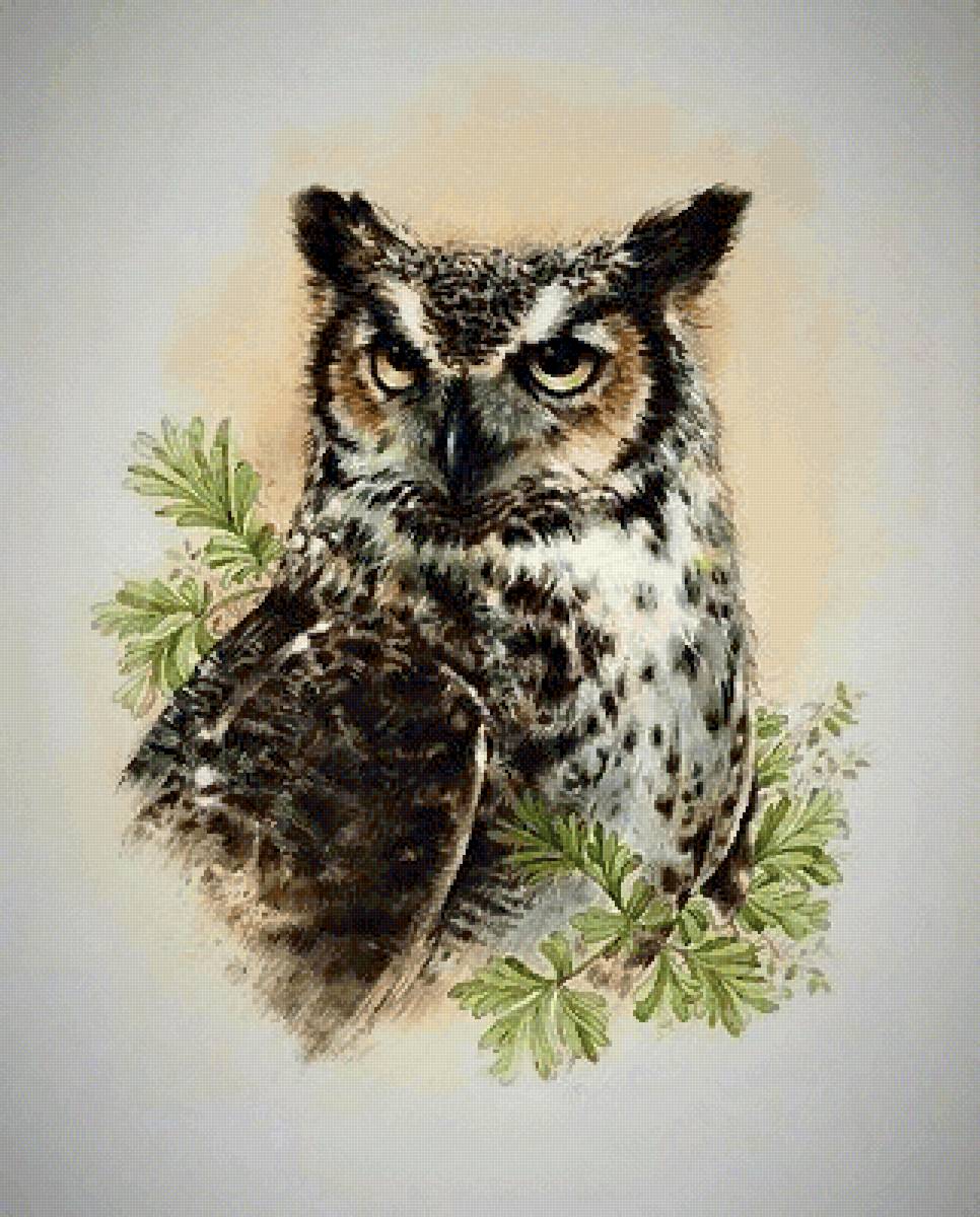Филин - птицы - предпросмотр