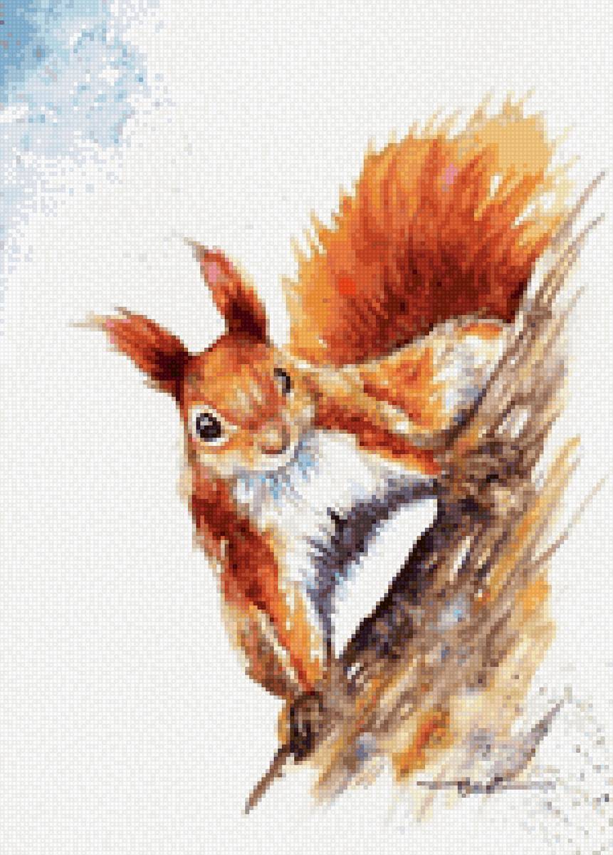 белочка 2 - предпросмотр