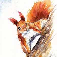 Схема вышивки «белочка 2»