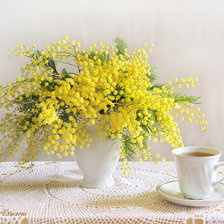 Схема вышивки «Мимоза»