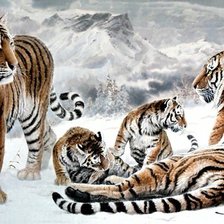 Схема вышивки «Тигры»