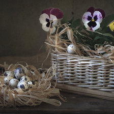 Схема вышивки «Анютины глазки»