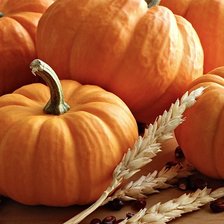 Схема вышивки «праздник тыковки»