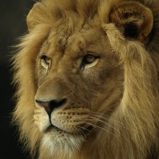 Схема вышивки «№2526070»