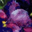 Предпросмотр схемы вышивки «Стелла Даминова. Букет» (№2526224)