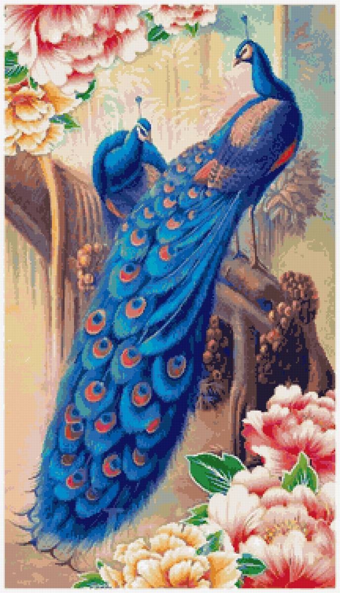 Семейство павлинов - птицы, деньги, вышивка крестиком, богатство, павлин - предпросмотр