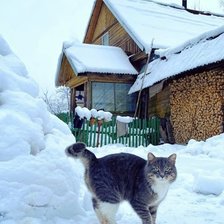Схема вышивки «деревня»