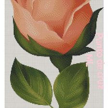 Схема вышивки «№2526411»