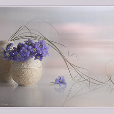 Схема вышивки «№2526487»