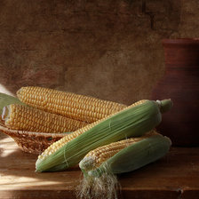 Схема вышивки «Кукуруза»