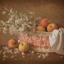 Схема вышивки «Абрикосы»