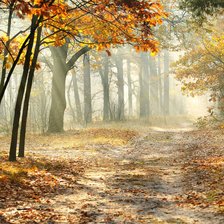 Схема вышивки «Осень»