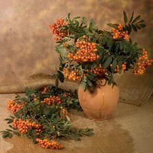 Схема вышивки «Рябина»