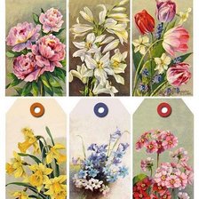 Схема вышивки «№2526700»