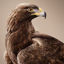 Схема вышивки «№2526847»