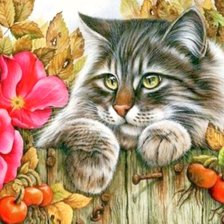 Схема вышивки «Кот»