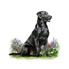 Схема вышивки «№2527022»