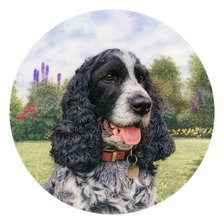 Схема вышивки «№2527023»