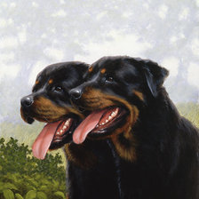 Схема вышивки «№2527032»