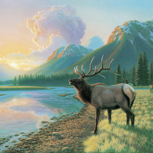 Схема вышивки «№2527036»