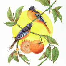 Схема вышивки «№2527043»