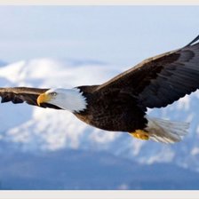 Схема вышивки «№2527430»