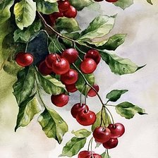 Схема вышивки «акварель- вишня»