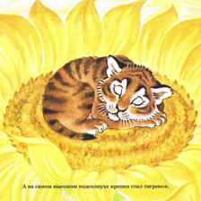 Схема вышивки «Тигренок на подсолнухе»