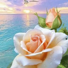 Схема вышивки «Розы»