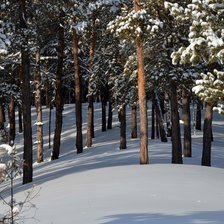 Схема вышивки «Зимний лес»