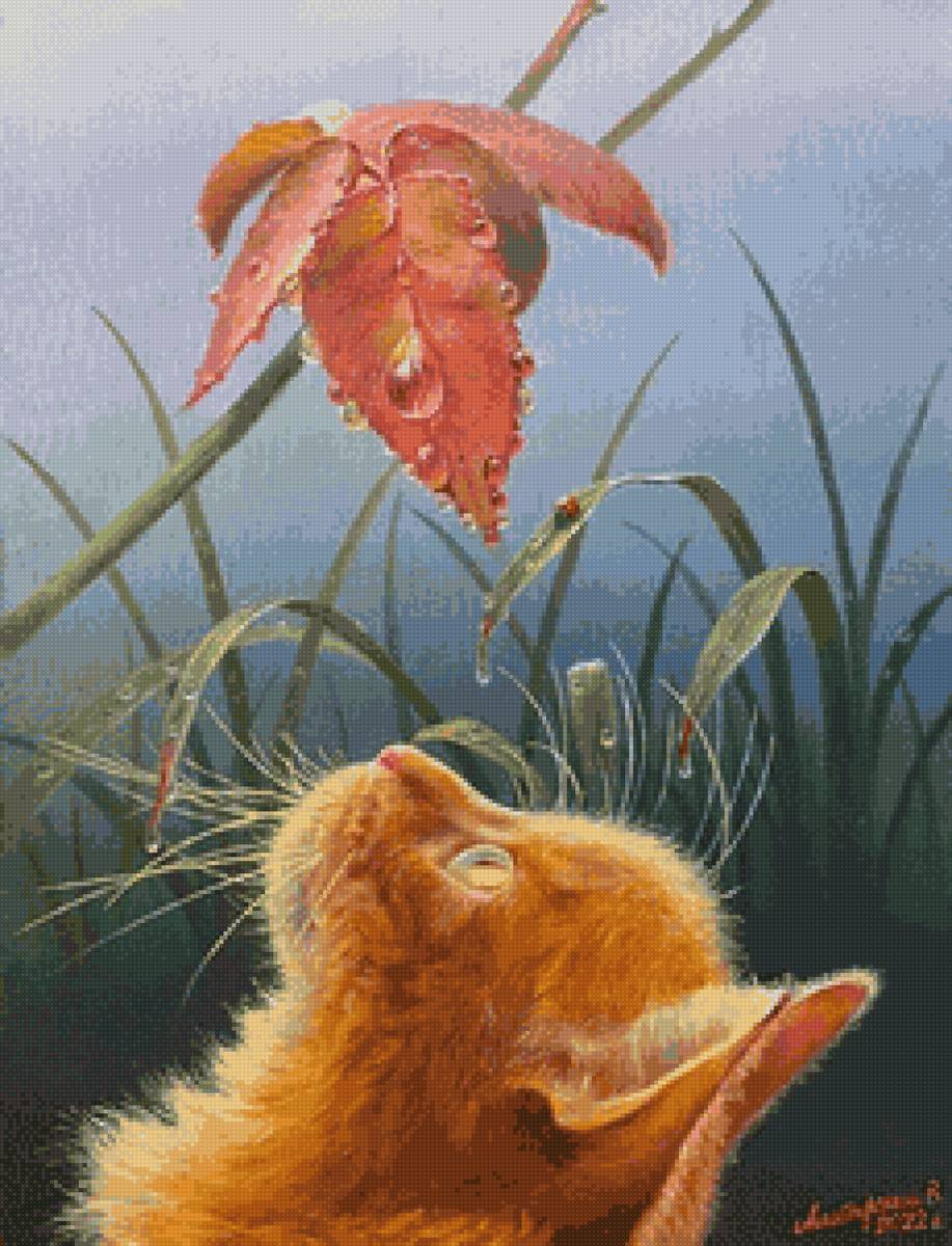 Рыжий кот - картина, кошачий портрет, кошки, алатырский - предпросмотр