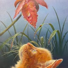 Схема вышивки «Рыжий кот»