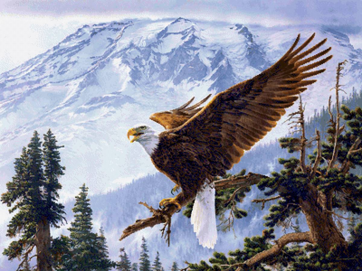 Орёл - пейзаж, горы, птицы, орел - предпросмотр